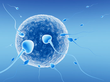 Best Sperm Donor Clinic in Faridabad