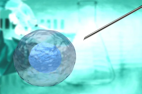 Fresh vs Frozen Embryo Transfer