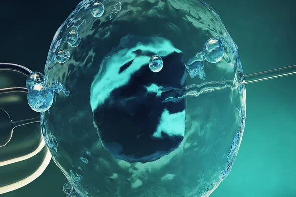 IUI vs IVF: Which Is Right for You?