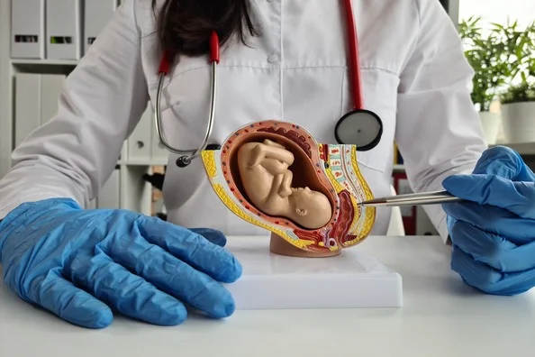 IVF as a Treatment for PCOS-Related Infertility