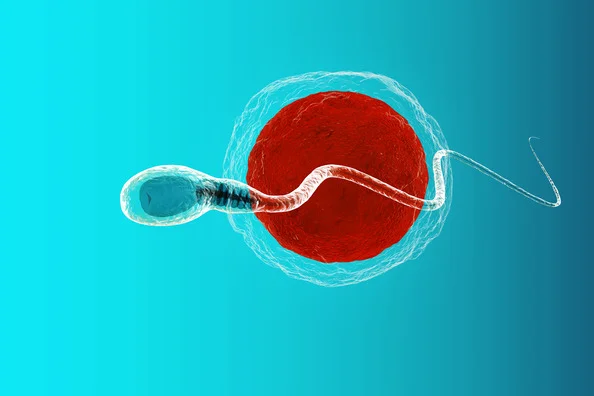Isthmocele and Its Impact on Future Pregnancies: What You Need to Know